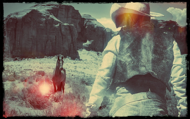 rock, outdoors, cowboys, domestic animals, mammal, rear view, animal wildlife, bird, Lucky Luke, day, domestic, comics, auto post production filter, vertebrate