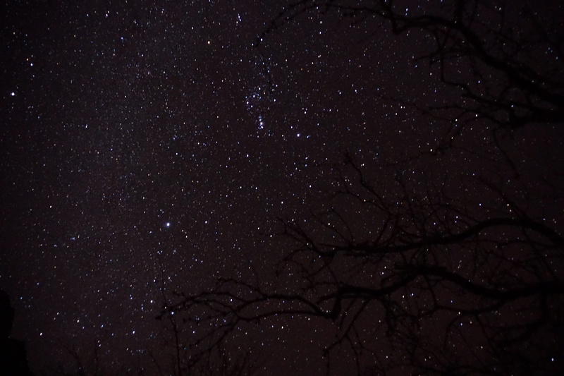 tree, galaxy, pattern, modern, stars, full frame, branch, space and astronomy, nature, night, infinity, scenics - nature, dark, wall, star - space, star field