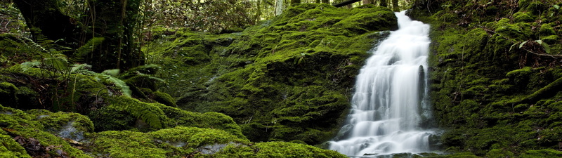 power in nature, long exposure, nature, water, green color, purity, waterfall, woodland, outdoors, blurred motion, flowing, dual screen, no people, foliage