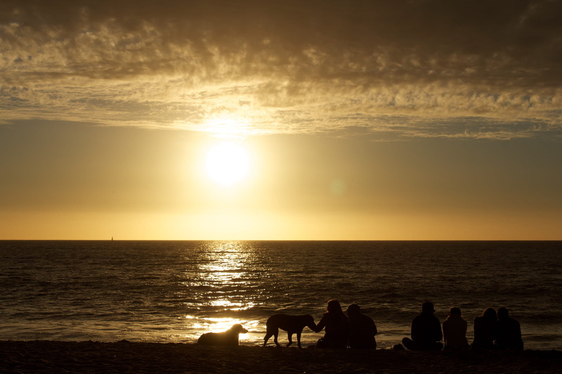 silhouette, horizon, orange, viña del mar, scenics - nature, sun, outdoors, horizon over water, domestic, sand, pacific, winter, chile, sunlight, domestic animals