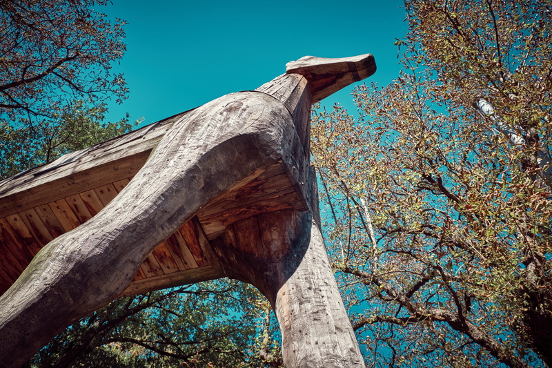outdoors, architecture, bare tree, tree, travel destinations, wood - material, sunlight, troy, sky, built structure, clear sky, wooden horse, plant, blue