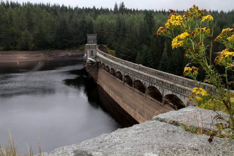 no people, bridge, plant, transportation, arch bridge, connection, tree, outdoors, beauty in nature, architecture, highlands, water, travel, river, growth