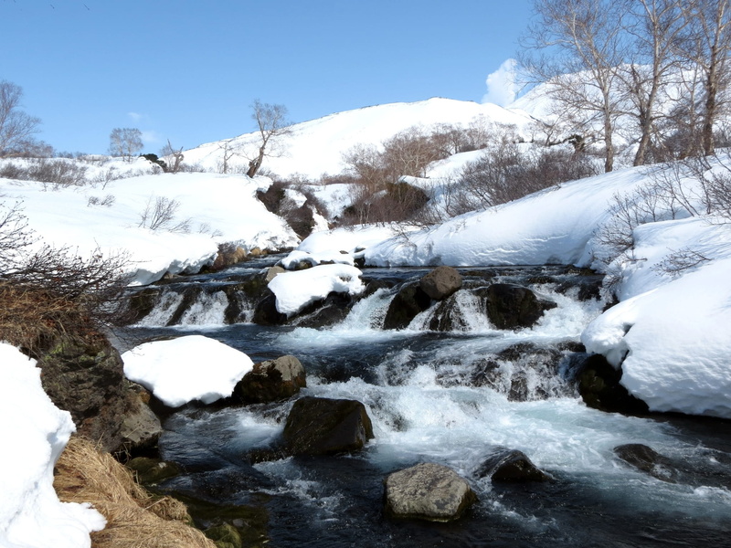 plant, journey, tree, white color, non-urban scene, no people, mountain landscape, flowing, flowing water, tourism, sky, water, tranquility, height, mountains