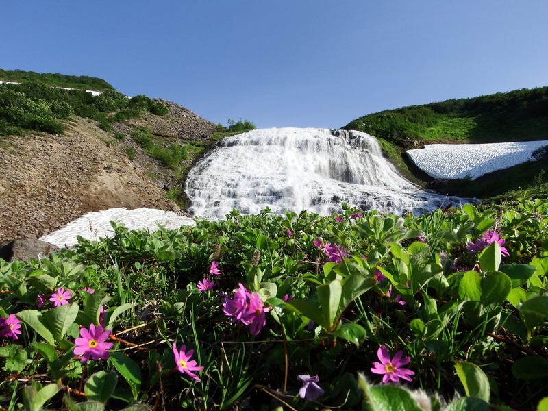 beauty in nature, flowing water, the snow, nature, environment, stones, flower, waterfall, spillway, day, snow, highlands, land, motion, water, mountain valley