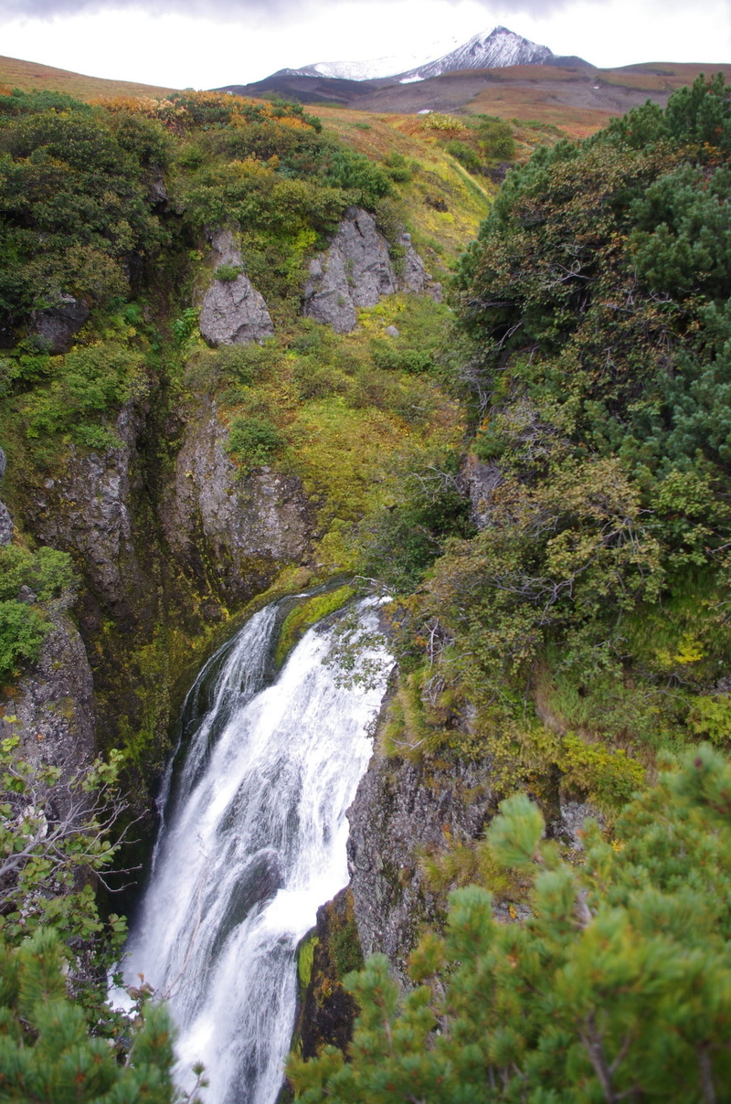 stones, tree, tourism, environment, motion, 1080P, mountain stream, highlands, flowing water, outdoors, spillway, landscape, day, beauty in nature, mountains