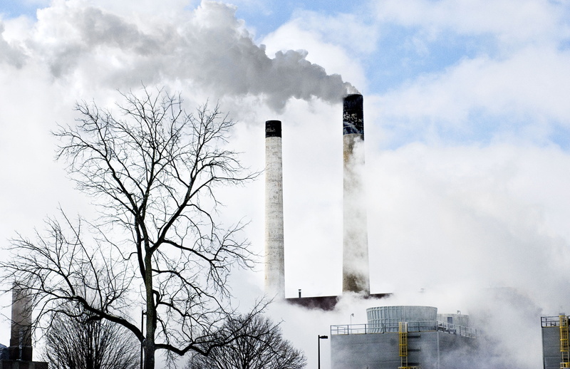 tree, plant, sky, power plant, steam, environmental damage, smoke - Physical Structure, factory, smoke stack, ecosystem, building exterior, built structure
