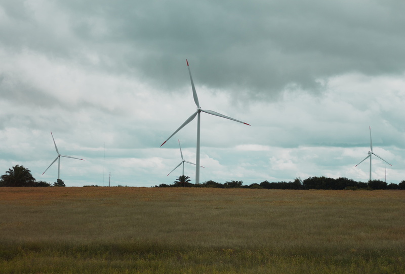 grass, wind turbine, field, molino, cloud - sky, windmill, aircraft, motor, plant, machine, environmental conservation, vehicle, alternative energy, rural scene