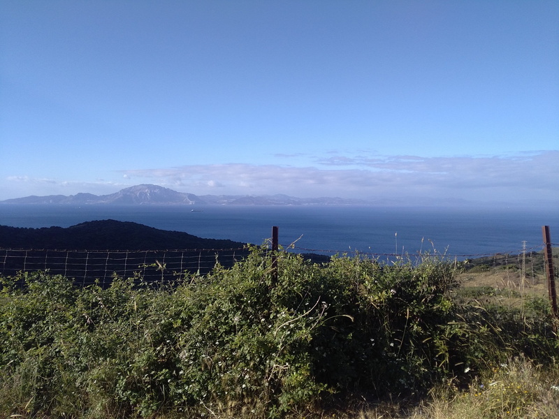 architecture, sky, sea, environment, outdoors, mountain, growth, scenics - nature, built structure, nature, strait of gibraltar, no people, non-urban scene
