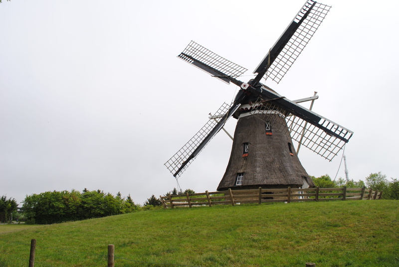 environmental conservation, outdoors, renewable energy, Mill, tree, plant, turbine, field, environment, nature, Wind, traditional windmill, alternative energy