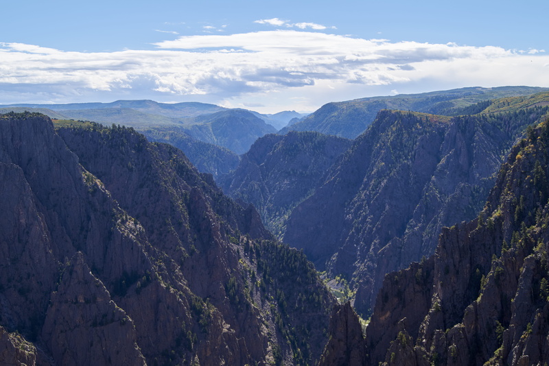 trees, non-urban scene, coniferous tree, environment, sky, tranquility, black canyon, landscape, plant, canyon, united states, tree, no people, nature