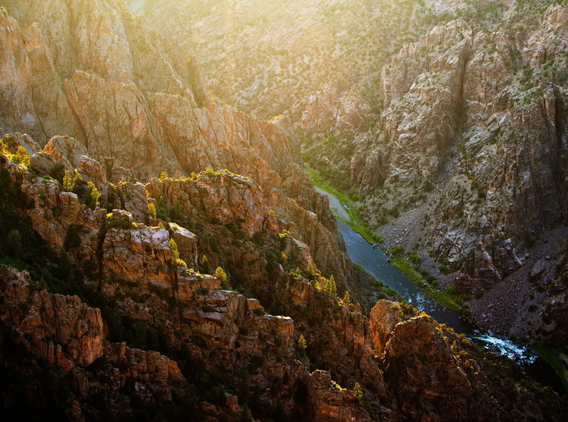 fog, National, outdoors, tranquility, nationalpark, day, blackcanyonofthegunnison, Canyon, pine tree, forest, travel destinations, Colorado, plant, tranquil scene