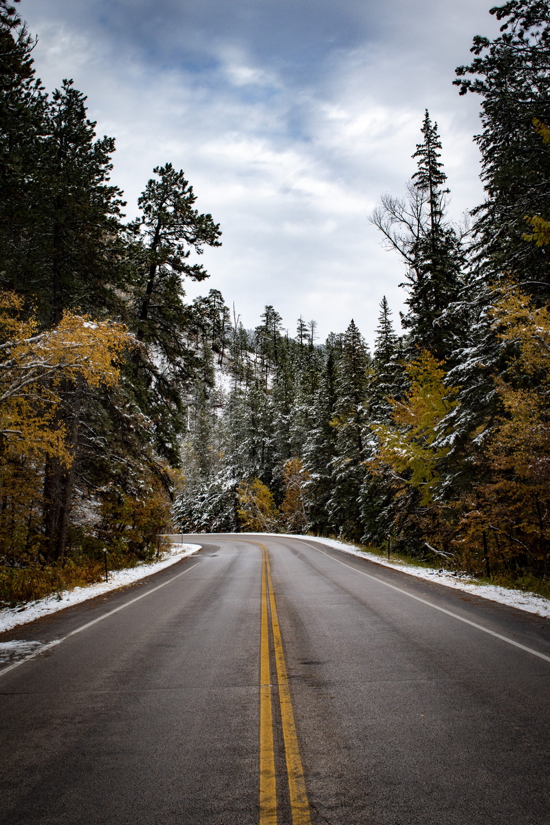 winter, plant, asphalt, journey, dividing line, the way forward, road trip, outdoors, tree, cloud - sky, cold, diminishing perspective, transportation