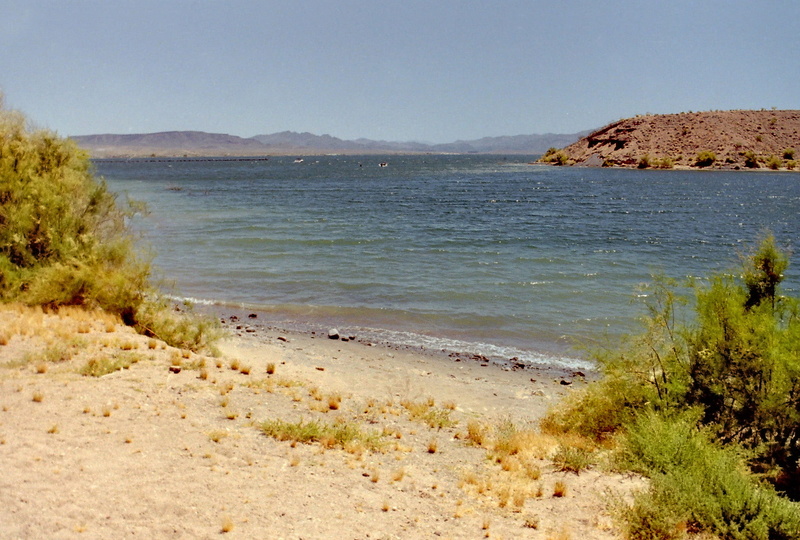 tranquility, day, Landscape, sea, beach, tree, Lake Mead, outdoors, coastline, scenics, Nevada, summer, public domain, lake, blue, scenics - nature, mead