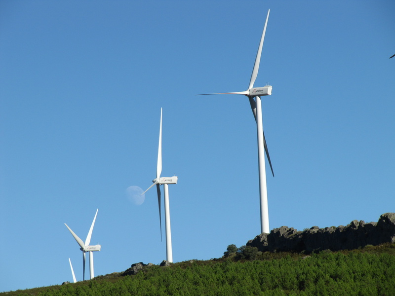 environmental Conservation, renewable, field, land, mill, wind farm, no people, grass, daytime, wind Turbine, propeller, plant, sustainable resources, wind Power