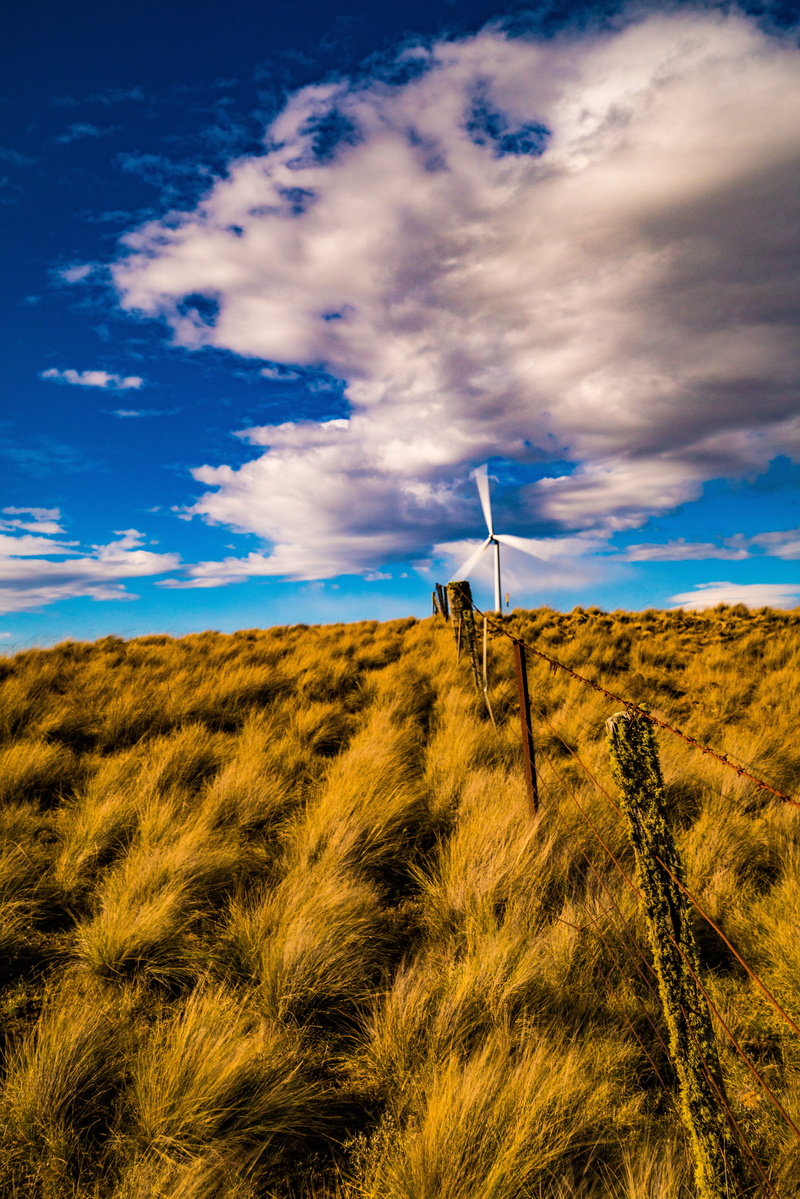 landscape, development, nature, generator, global, windfarm, beauty in nature, cloud - sky, warming, growth, plant, generation, non-urban scene, white