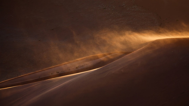 1080P, plants, landscape, sunlight, dunes, sand, sunset, desert, Namibia, nature, wind