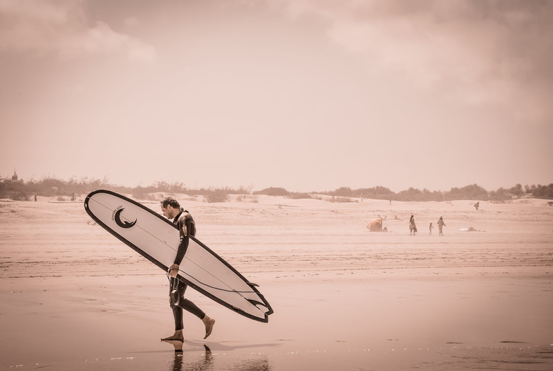 people, essaouira, land, outdoors, beauty in nature, sunset, no people, water, ocean, nature, animal themes, day, atlantic, summer, mammal, 4K, animal