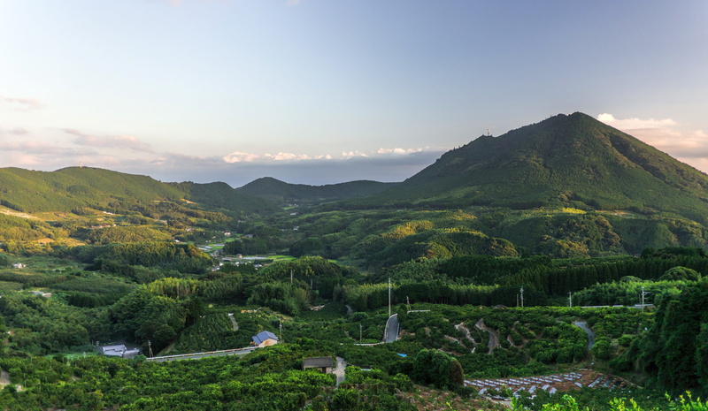 green color, japan, sky, no people, kumamoto, sunset, outdoors, ranges, scenics - nature, tea crop, green, mountain range, landscape, land, tranquility