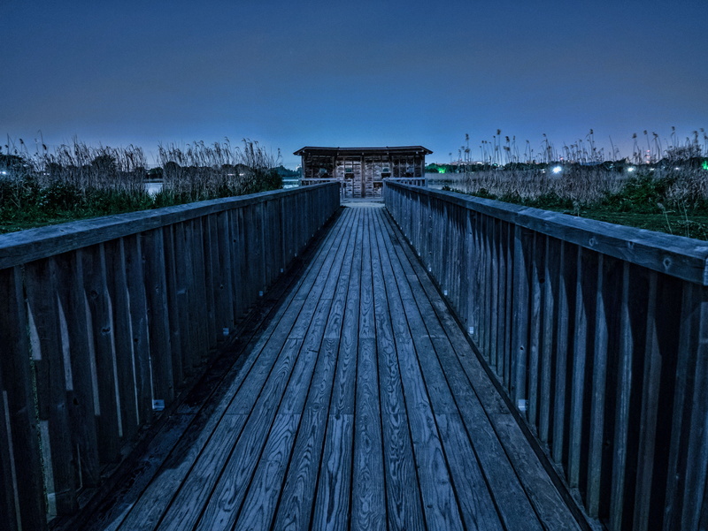 blue, nature, bridge, scenics - nature, diminishing perspective, direction, 4K, night, the way forward, day, architecture, built structure, bridge - man made structure