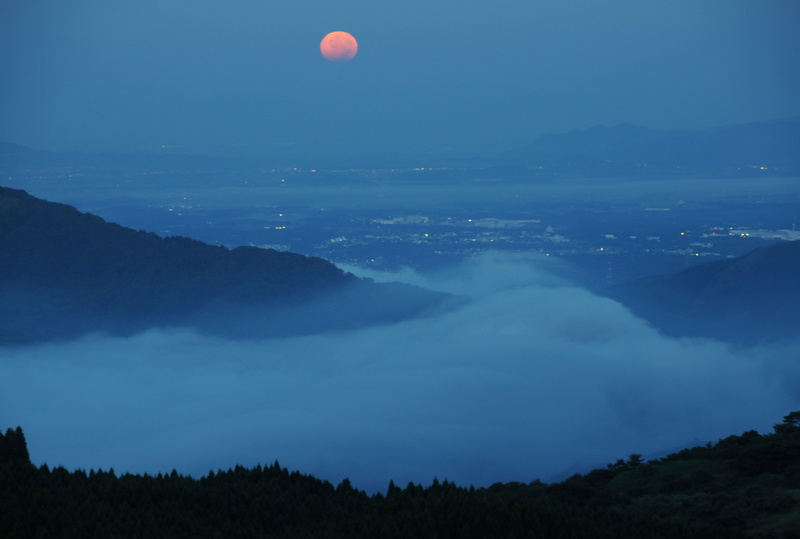 4K, moon, cloud - sky, idyllic, tranquil scene, astronomy, trees, silhouette, tree, near, no people, foggy, space, aso, tranquility, scenics - nature