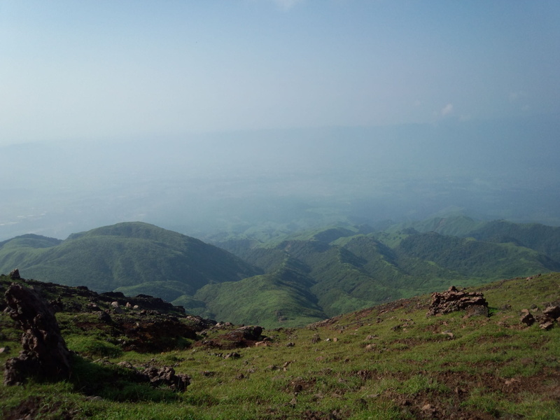 Blue Sky, green color, animal themes, landscape, outdoors, Japan, environment, mountains, lava, non-urban scene, kyushu, Meadow, plant, plateau, lush foliage