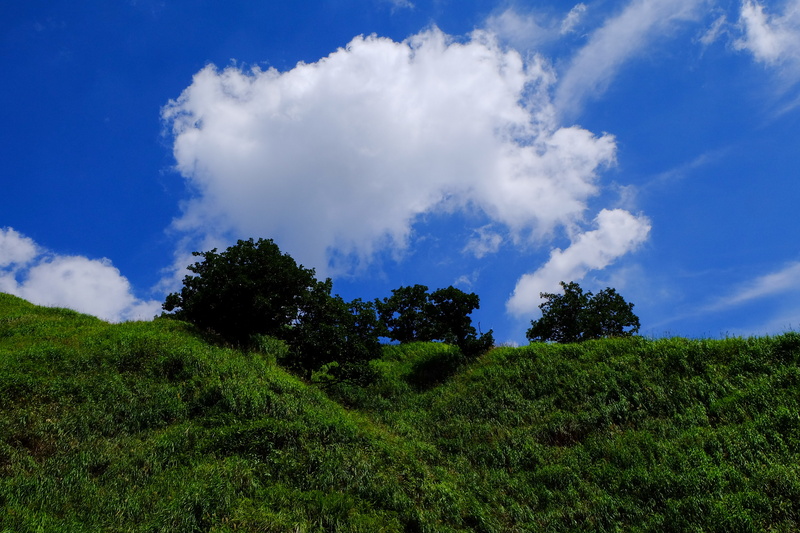 nature, green color, blue, plant, outdoors, japan, environment, tree, growth, landscape, grass, blue sky, tranquil scene, beauty in nature, cloud - sky
