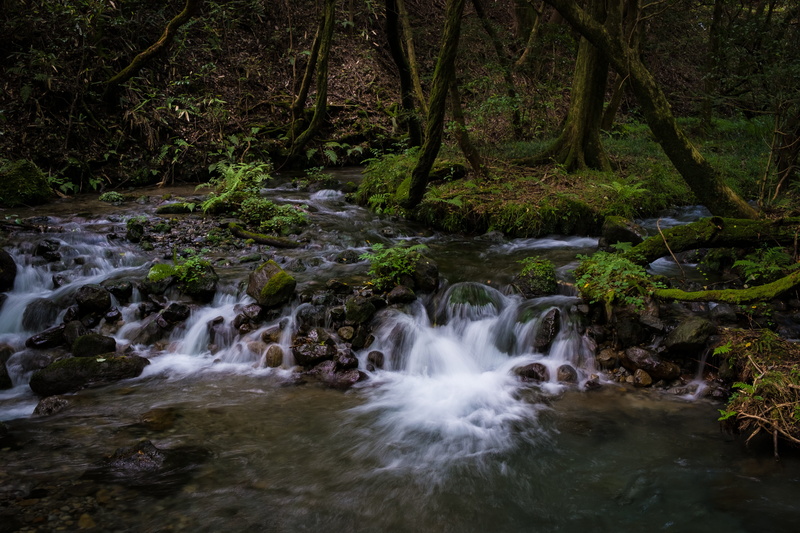 outdoors, tranquility, land, scenics, Japan, rainforest, stream - flowing water, kumamoto, no people, water, long exposure, nature, rock - object, beauty in nature
