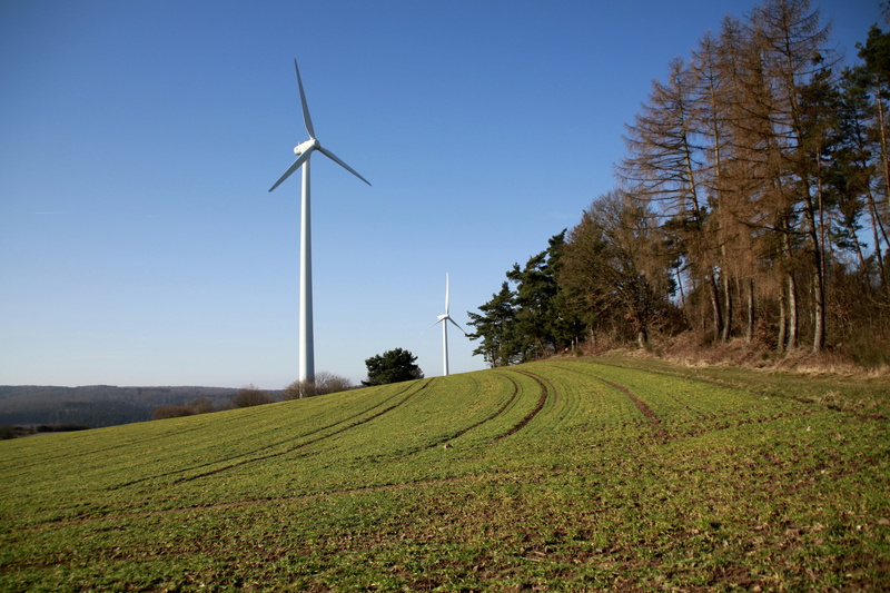 plant, wind park, ecology, renewable energy, nature, environmental conservation, forest, wind turbine, land, energy, wind power, power in nature, electricity