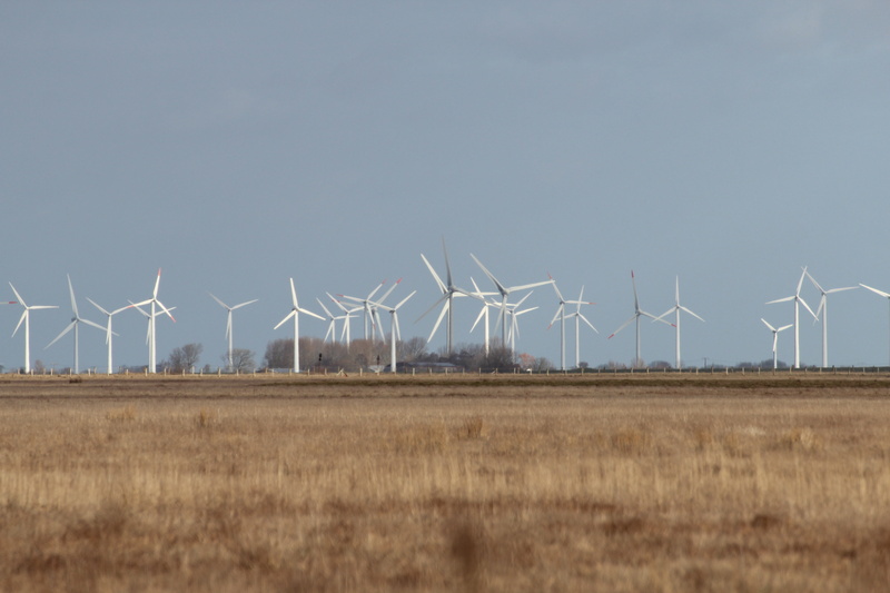 field, environment, 5K, agriculture, day, nature, wind park, wind power, renewable energy, no people, sustainable resources, turbine, meldorf bay, landscape
