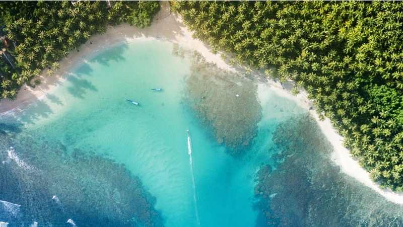 tree, land, 480P, high angle view, clean, turquoise colored, scenics - nature, Nature, sea, Scenery, palms, sunlight, beach, beauty in nature, no people