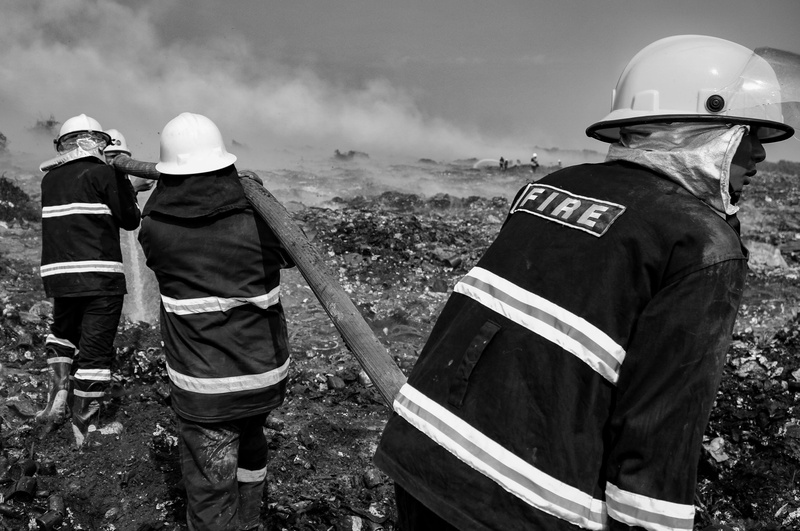 mining, clothing, real people, bald eagle, day, safety, eagle, hat, security, bird, grey, occupation, rear view, men, uniform, sun hat, oilfield, sky, nature