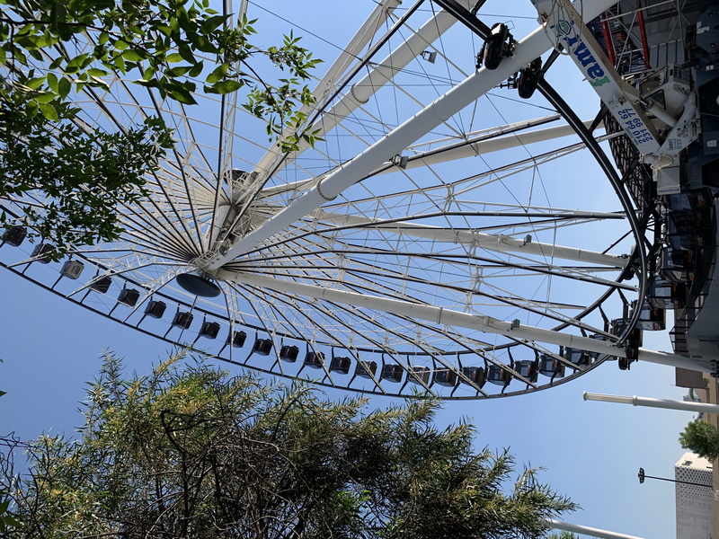 compass math, outdoors, iris, arbour, arts culture and entertainment, amusement park, ferris wheel, flower, construction crane, blossom, utility pole, day