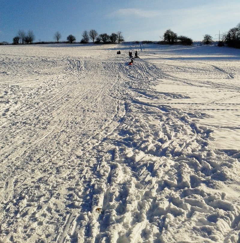 muter, father, toboggan, snow, sun, skihang, skiing, slide, footprints, one person, landscape, tobogganing, wooden sled, field, day, plant, winter, tree