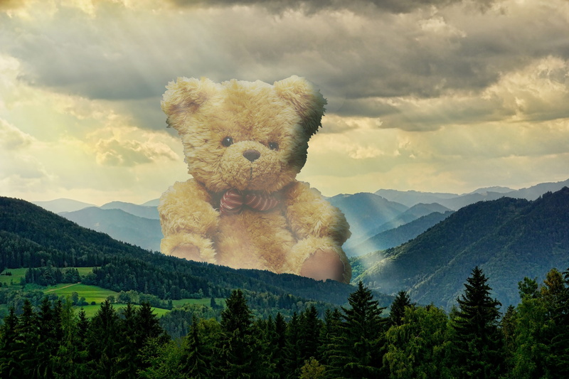 teddy, mist, outdoors, mountain, 4K, tranquility, kids, idyllic, rest, sky, tranquil scene, non-urban scene, beauty in nature, day, cloud - sky, sweet