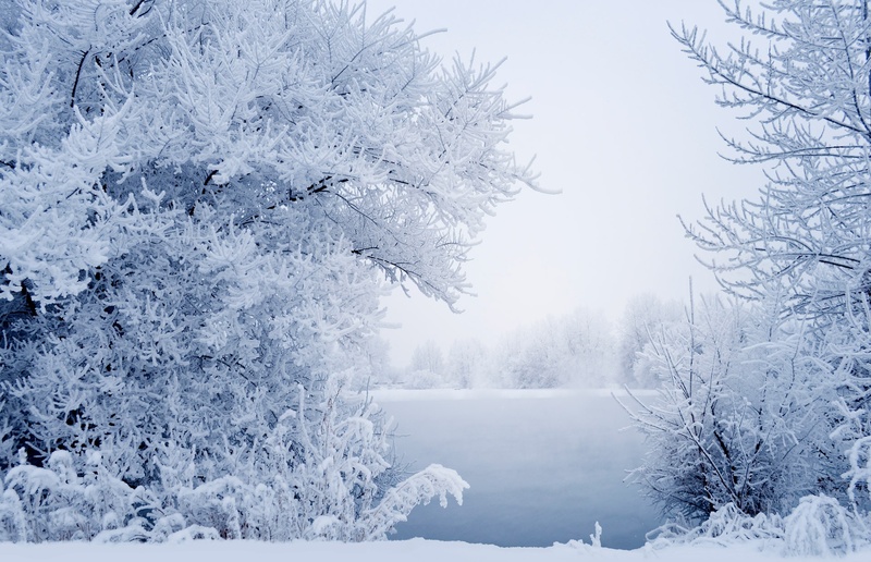 fog, extreme weather, trees, landscape, white color, ice, white, snowcapped mountain, winter, nature, non-Urban Scene, tranquil scene, scenics, no people
