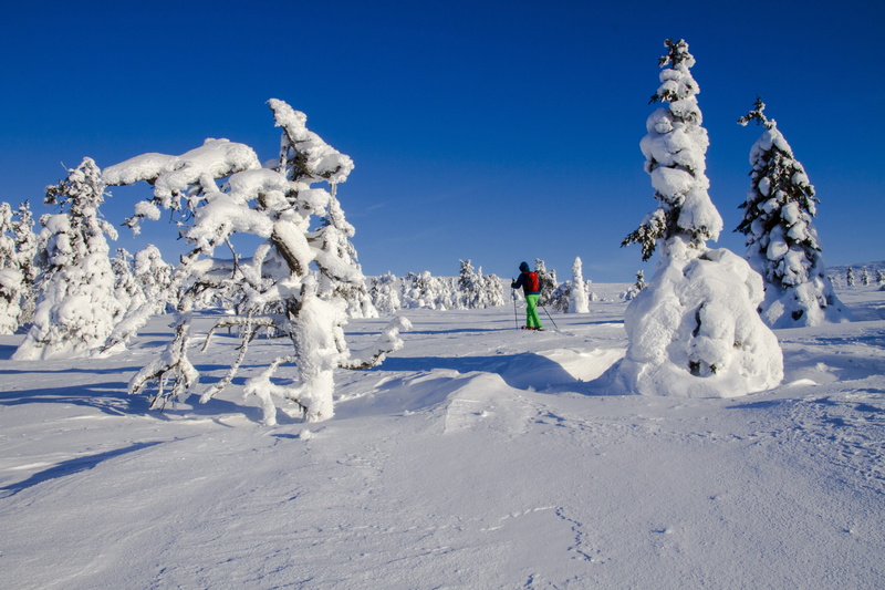 cold temperature, mountain, holiday, snow shoe snow shoe run, adventure, Snow Shoe, äkäslompolo, wintry, sky, nature, lapland, blue, leisure activity, scenics