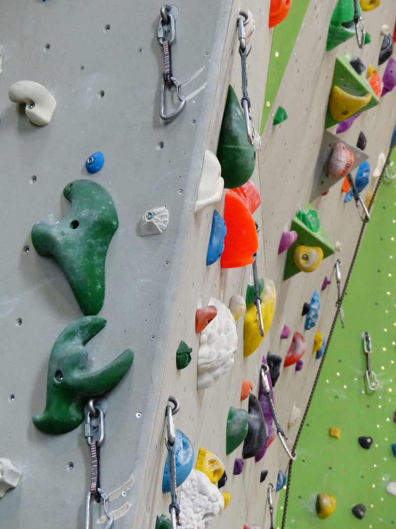 artifice, color, animal representation, indoors, toy, large group of objects, extreme sports, wall - building feature, creativity, overhanging, choice