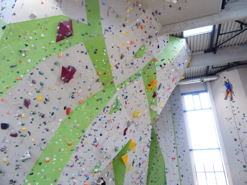 exercising, climbing routes, healthy lifestyle, Climbing Hall, overhanging, low angle view, leisure activity, sport, extreme sports, climber, climb, adult