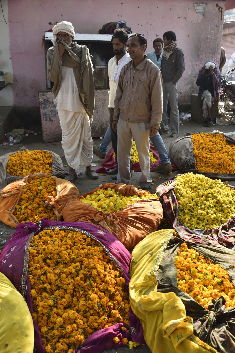 display, belief, street, cultures, selling, market Stall, flower, street Market, real people, colors, men, bazaar, women, group of people, Market, outdoors