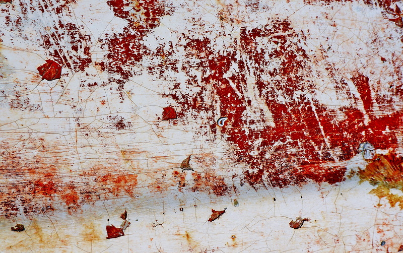 2K, backgrounds, art, nature, stain, pattern, no people, animal, rusty, old, outdoors, textured, modern art, weathered, plant, canvas, close-up, metal