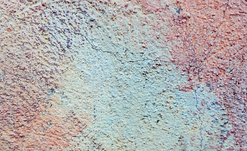wood, plant, paint container, blue, outdoors, rust, surface level, wall, weathered, textured effect, stain, deterioration, pattern, old, backgrounds, stone wall