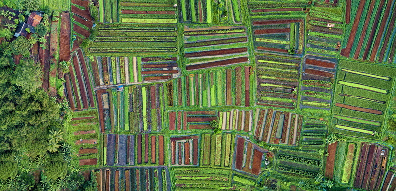 environment, beauty in nature, agriculture, fields, drone, farmland, irrigation, land, crops, daytime, plant, design, country, landscape, drone cam, art