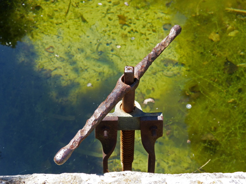 4K, green color, metal, focus on foreground, tree, rusty, orchard, no people, water, nature, plant, weathered, raft, mechanism, protection, lake, iron