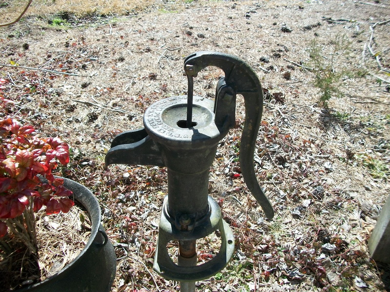 faucet, nature, close-up, Water, no people, plant, manual, water, 2K, pipe, day, hand wells, pump, metal, growth, high angle view, Pump, outdoors, sunlight
