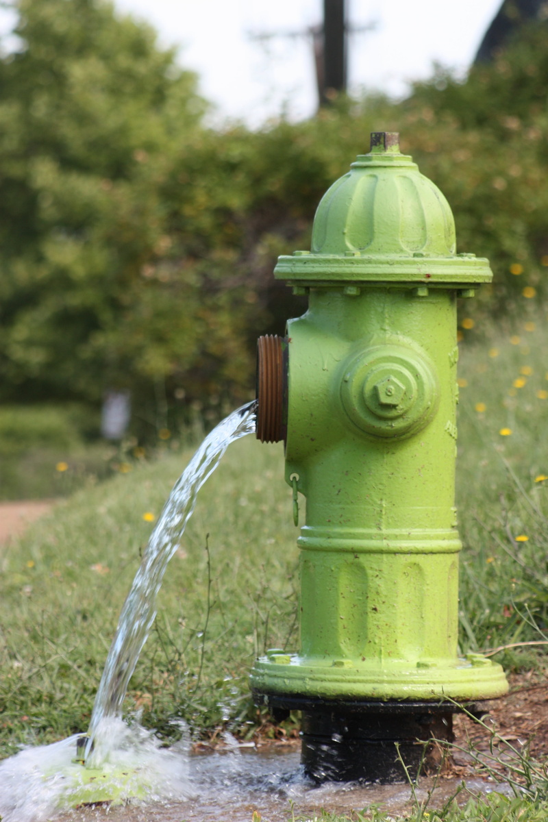 hydrant, pump, equipment, nature, field, green color, tree, protection, land, focus on foreground, water, architecture, faucet, 4K, security, day, metal