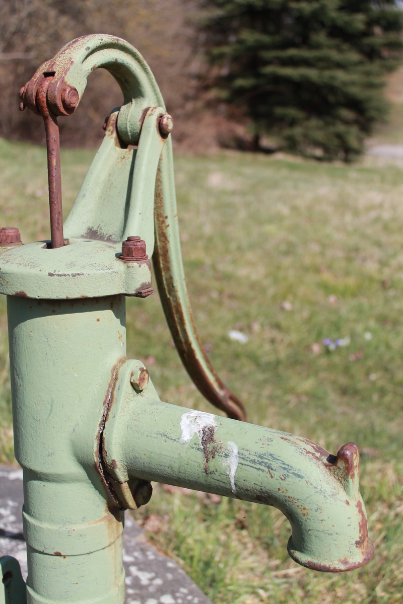 old well, water pump, bird droppings, plant, village fountain, ailing, close up, pipe - tube, no people, valve, 4K, close-up, hand-operated, rusted, grass