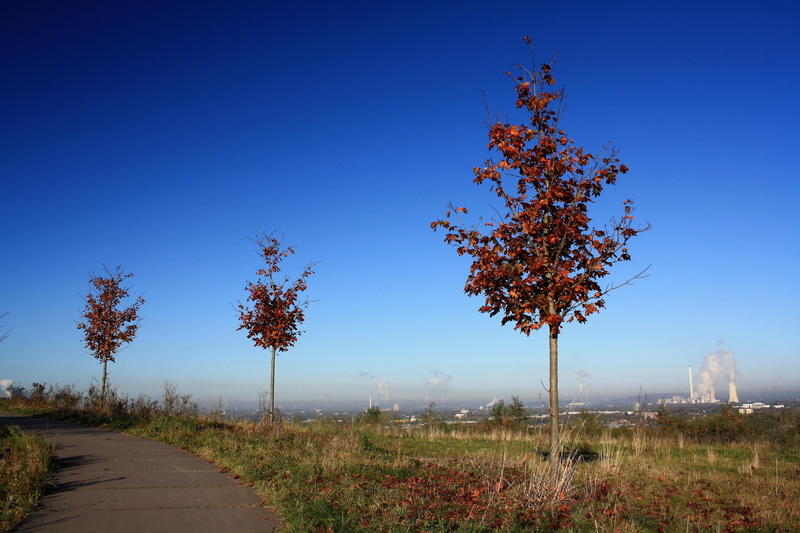 blue, coal fired power plant, growth, field, no people, autumn collection, day, clear sky, panorama, outlook, plant, direction, road, ruhr area, sky, scenic