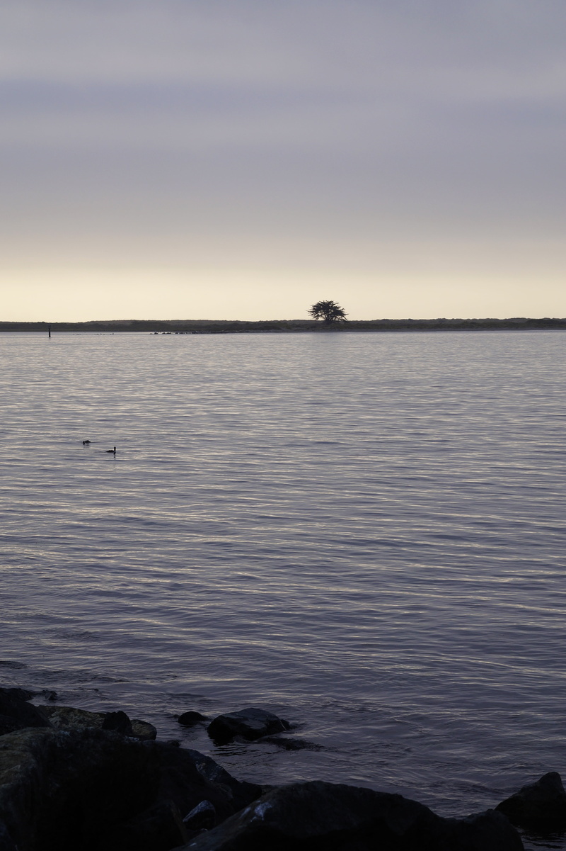 outdoors, silhouette, idyllic, humboldt bay, water, rock, lone tree, 5K, cloud - sky, scenics - nature, non-urban scene, sky, no people, beauty in nature