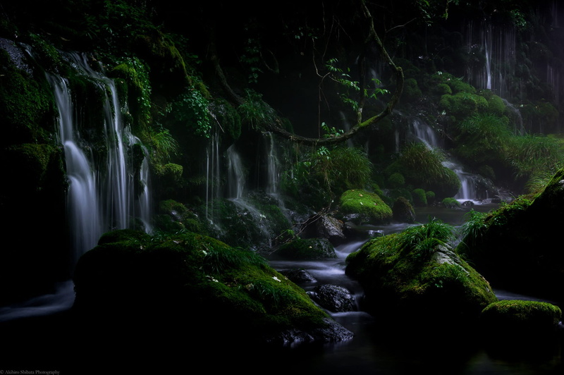 1080P, rock - object, waterfall, power in nature, falling water, forest, moss, rock, landscape, tree, land, water, long exposure, scenics - nature, flowing water