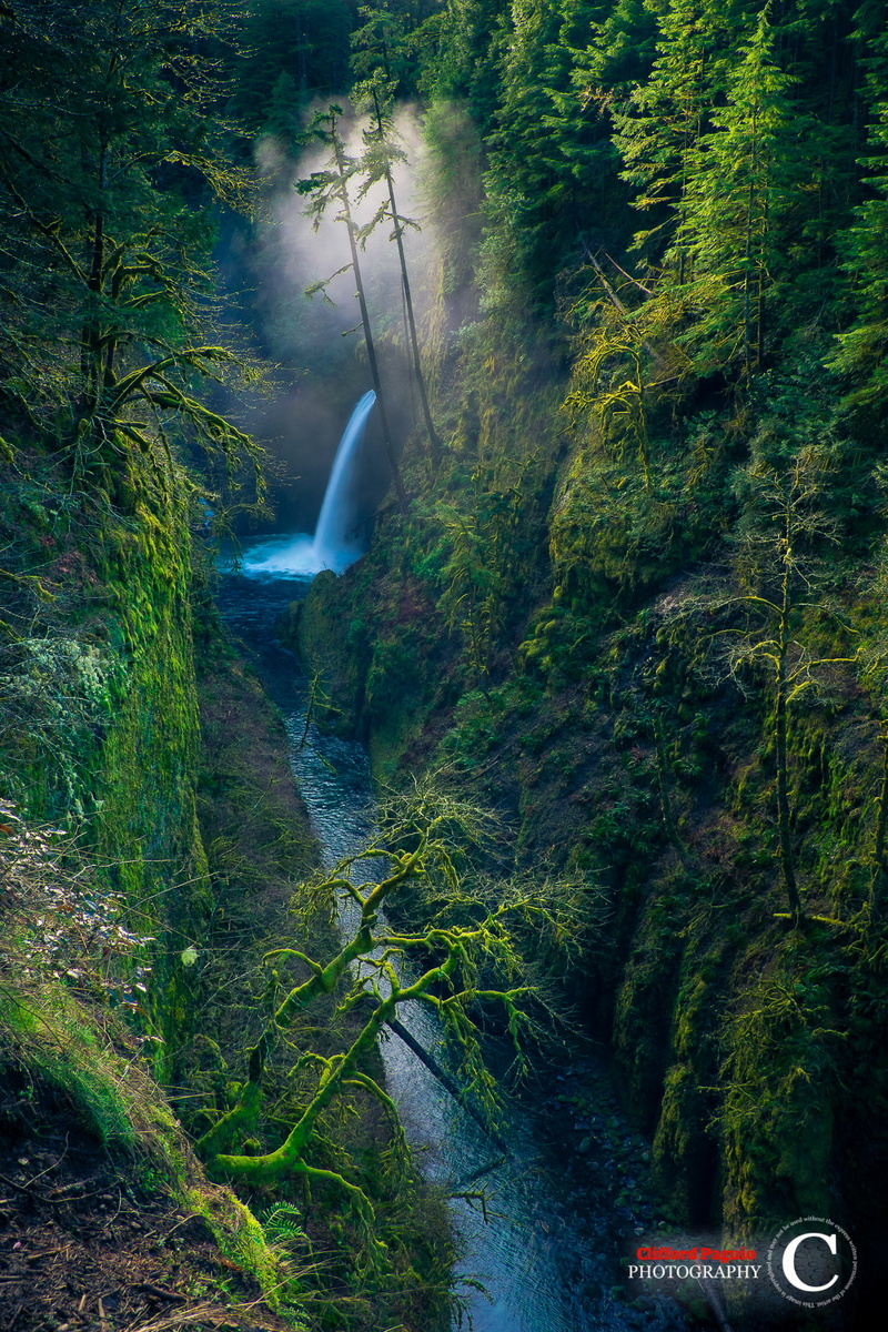 Clifford Paguio, waterfall, landscape, forest, USA, Oregon, 1080P, Portrait Display, moss, Trees, nature, water, Valley, Long Exposure